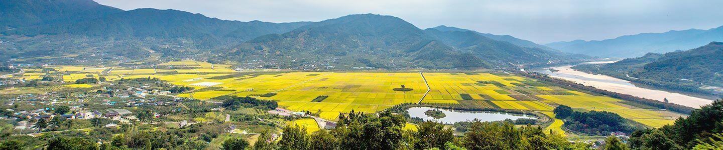 Exploring the Hidden Gems of Korea