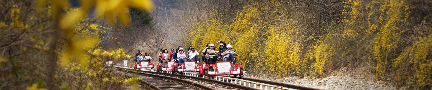Best Rail Bike Experiences in Korea