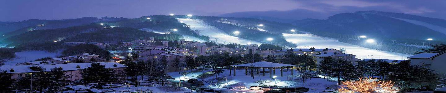Ski & Sightseeing Tours in Korea