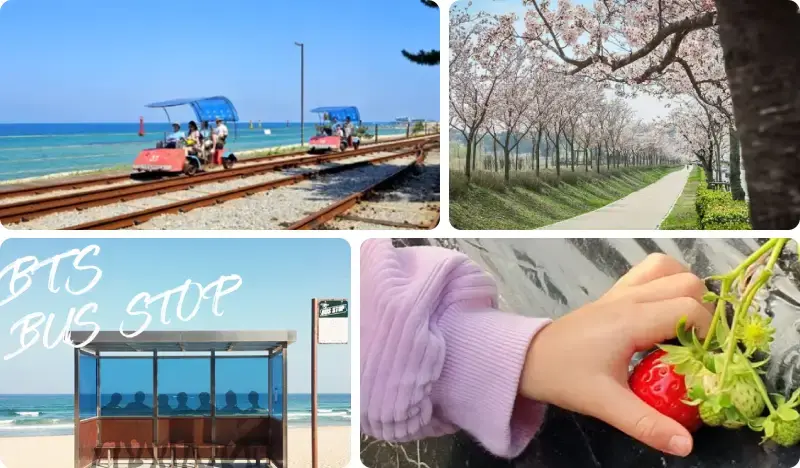 2D1N Gangneung Spring Tour with Hanok Stay - main view