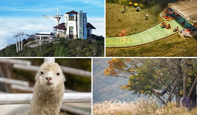 3D2N Gangwon Pyeongchang & Yongpyong Resort Tour - main view
