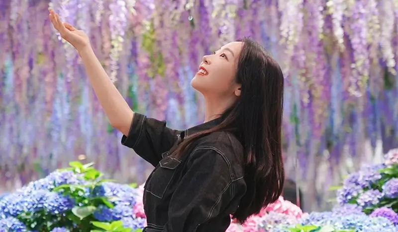 Begonia Bird Park + Gapyeong Sheep Ranch + Water Garden 1 Day Tour - from Seoul