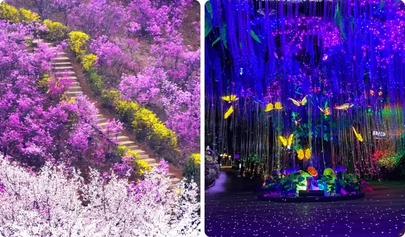 Spring Special: Bucheon Wonmisan Azalea & Cherry Blossom Festival + Gwangmyeong Cave Afternoon Tour - from Seoul (Apr 1~15) - main view