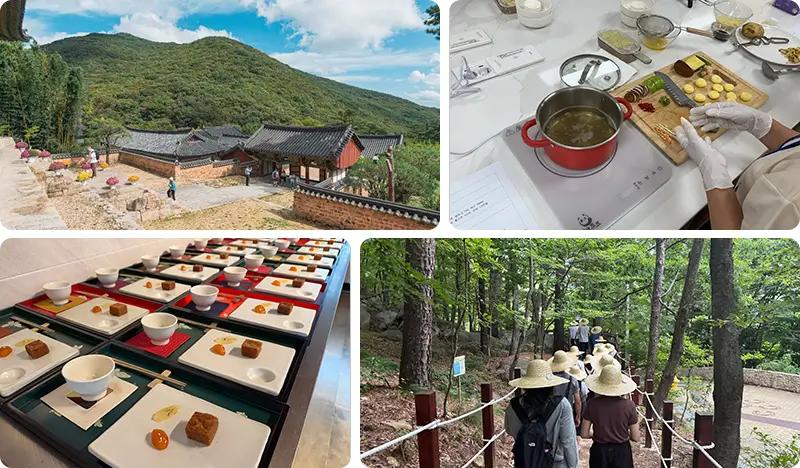 Busan Beomeosa Temple Half Day Tour: Korean Temple Food Cooking + Tea Ceremony & Meditation + Geumjeongsan Mountain Trail Walk - main view