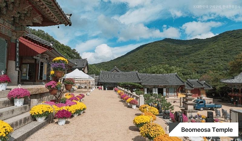 Busan & Yangsan UNESCO Temple 1 Day Tour (Oct 7 & 10)