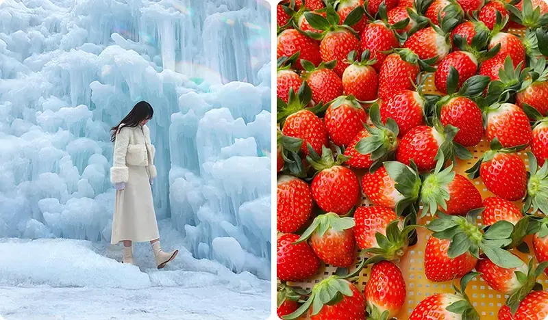 Chilgapsan Ice Fountain Festival & Cheonjangho Suspension Bridge at Cheongyang Alps Village (+ Winter Activities/Strawberry Picking) - main view