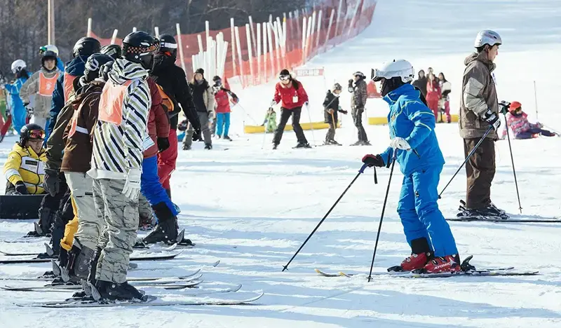 Elysian Gangchon Ski Resort: Private 1 Day Ski Tour from Seoul with Ski Lesson & Equipment/Clothes Rental - main view