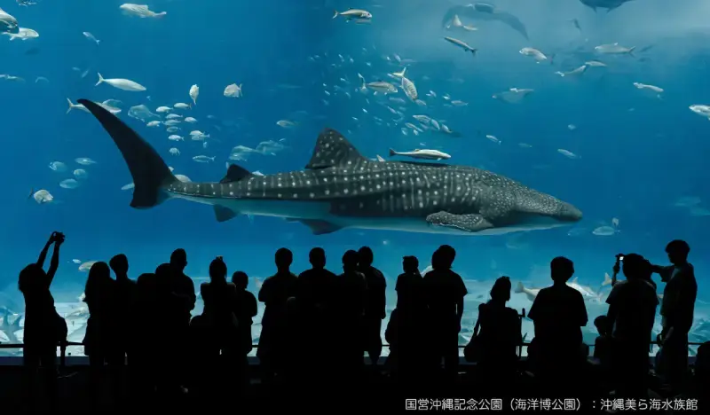 Okinawa Churaumi Aquarium Admission Ticket - main view