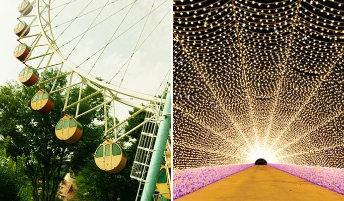 Everland + OOOZOOO Garden 1 Day Tour - main view