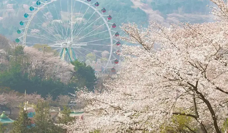 Everland Discount Ticket - One Day Pass - main view