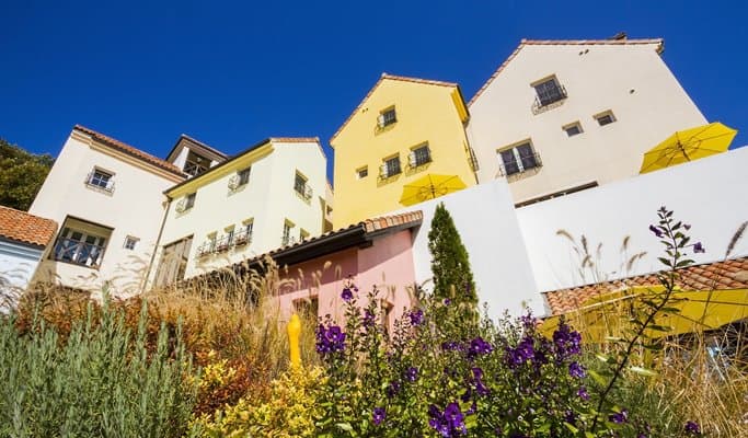 Premium Bus Tour: Nami Island + Petite France + The Garden of Morning Calm - from Seoul (+Breakfast/Free Wi-Fi on the Bus) - main view