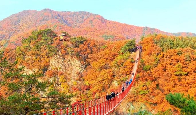 Mt. Gamaksan + Eunpyeong Hanok Village Tour (+ Chorigol/ Strawberry Picking/ Haneul Park options) - from Seoul - main view