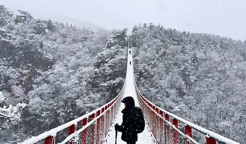 紺岳山+恩平韓屋村ツアー(+チョリゴル/イチゴ狩り/ハヌル公園オプション)-ソウル発 - main view