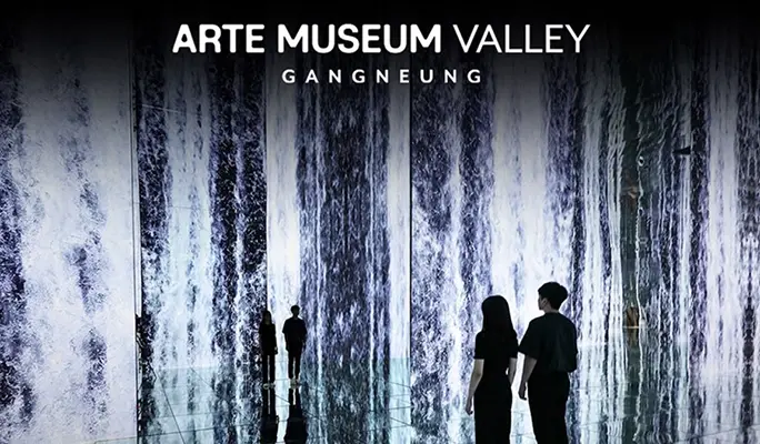 Gangneung Arte Museum Valley Ticket - main view