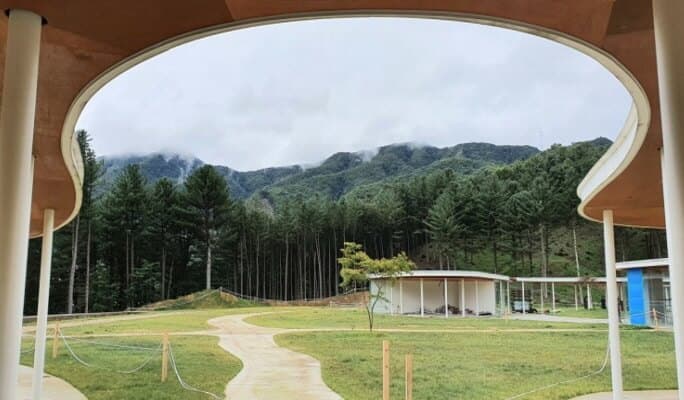 Gapyeong Sheep Farm + Nami Island (+Gapyeong Rail Bike) 1 Day Tour from Seoul - main view