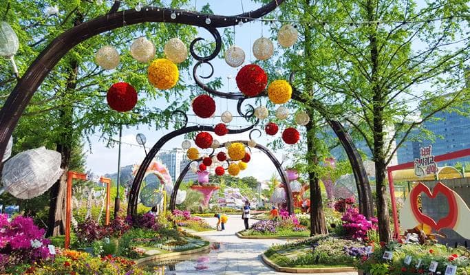 Goyang International Flower Festival & DMZ 1 Day Tour (Sep 25~Oct 9) - main view