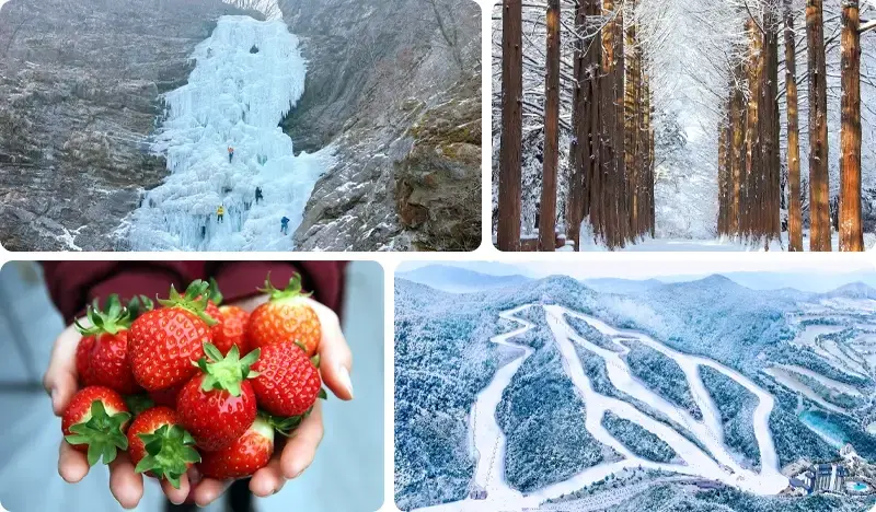 Gugok Ice Valley 1 Day Tour (+ Strawberry Picking/ Elysian Ski Resort/ Nami Island/ Garden of Morning Calm/ Rail Bike options) - from Seoul - main view