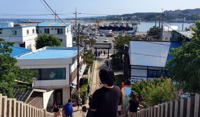 Gyeongbuk Coastal Private Tour (Pohang & Yeongdeok) - main view