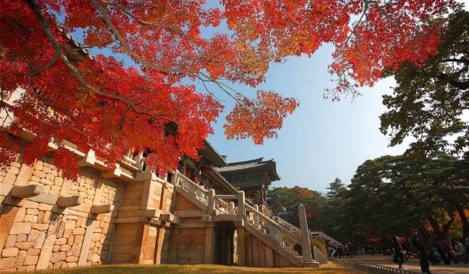 Gyeongju Autumn/Fall Foliage 1 Day / 2D1N Tour - from Seoul (Oct 30~Nov 9) - main view