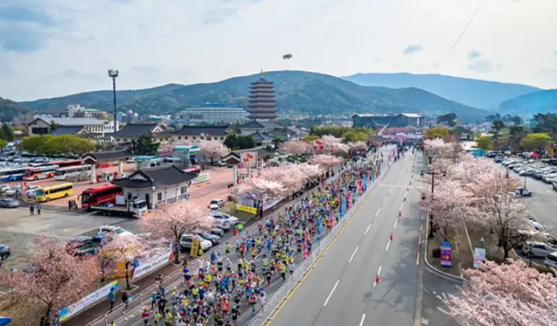 2026 Gyeongju Cherry Blossom Marathon Ticket (Apr 4) - main view