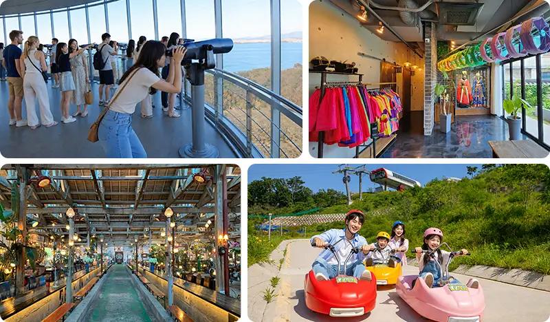 Incheon Ganghwado Island & DMZ 1 Day Tour from Seoul: DMZ Peace Observatory + Weaving & Tea Ceremony Experience + Luge Ride & More