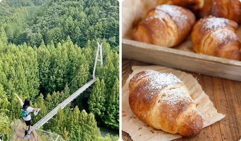 Jangtaesan Forest & Daejeon K-Bakery 1 Day Tour - from Seoul - main view