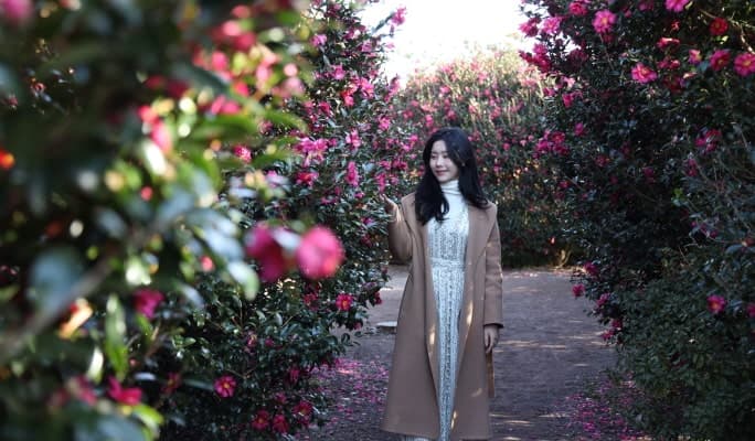 Jeju Hueree Natural Park Discount Ticket - main view