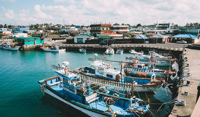 Jeju Olle Trekking One Day Tour: A day Away Awesome Jeju - main view