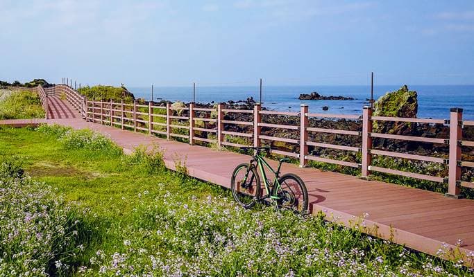 Coastal Road Bike Tour in Jeju - main view