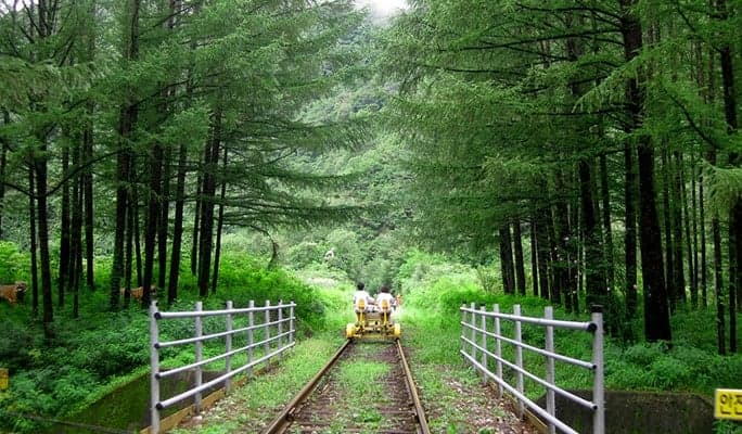 旌善鐵路自行車& Sky Walk 天空步道 1 日私人旅遊 - main view