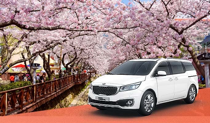 Spring Special: Jinhae Cherry Blossom 1 Day Private Tour - from Seoul/Busan (Mar 27~Apr 10) - main view