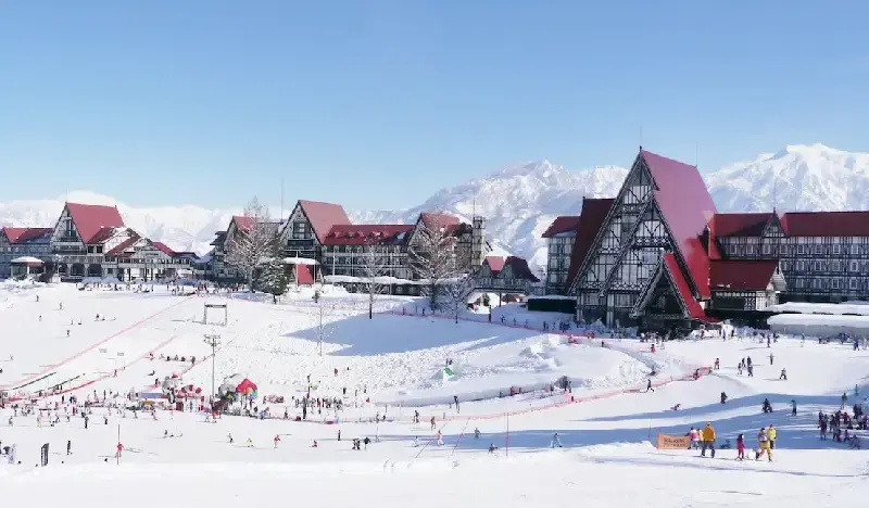 Joetsu Kokusai Ski Resort: 2D1N/3D2N Ski/Snowboard Package From Tokyo (Jan 25~Mar 13) - main view