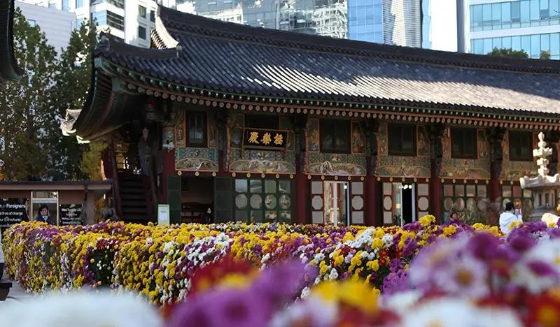 Seoul Walking Tour: Jogyesa Temple + Insadong + Ikseondong + Gwangjang Market + Jongmyo Shrine (Join-in/ Private) - main view