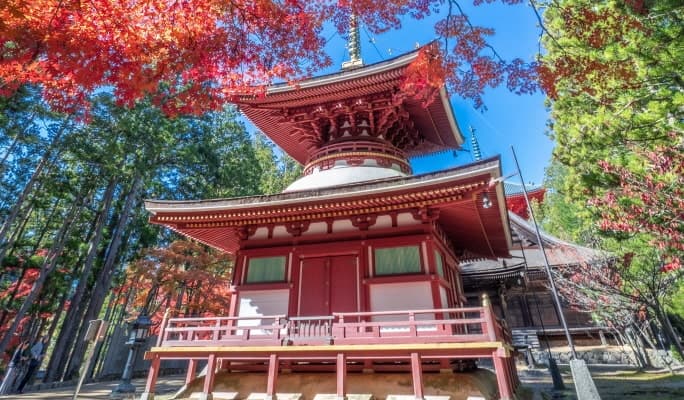 Wakayama Kishi Station + Mt. Koya + Kuroshio Market 1 Day Tour - from Osaka - main view