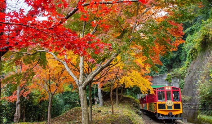 Kyoto Sagano Romantic Train + Hozu River Cruise + Arashiyama 1 Day Tour - from Osaka/ Kyoto - main view