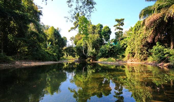 Khao Lak Tour: Rafting + Sea Turtle Center (+Elephant Feeding & Bathing option) - main view