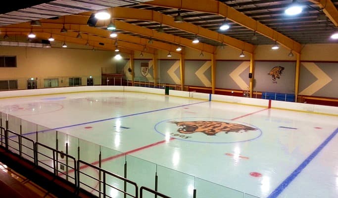 Korea University Ice Rink Ticket - main view