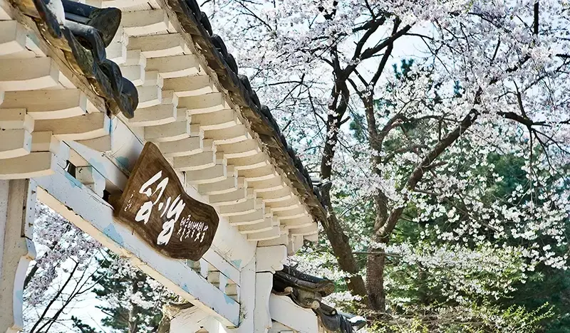 Nami Island Jeonggwanru Hotel Room Reservation - main view