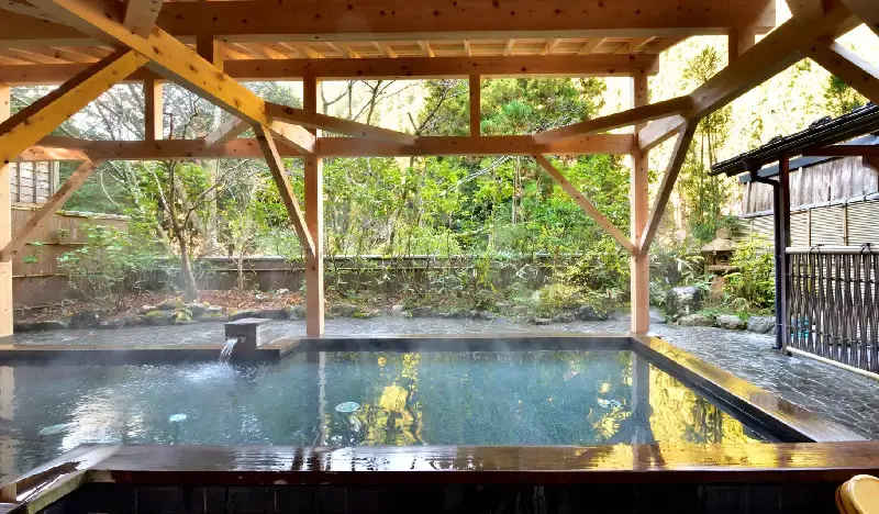 Kurama Onsen Hot Spring Ticket in Kyoto - main view