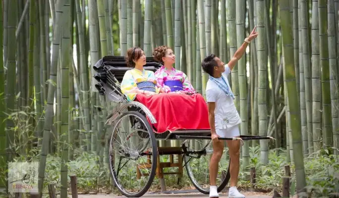 Private Charter Rickshaw Ride in Kyoto Arashiyama - Discover Scenic Beauty with Ebisuya Rickshaw - main view