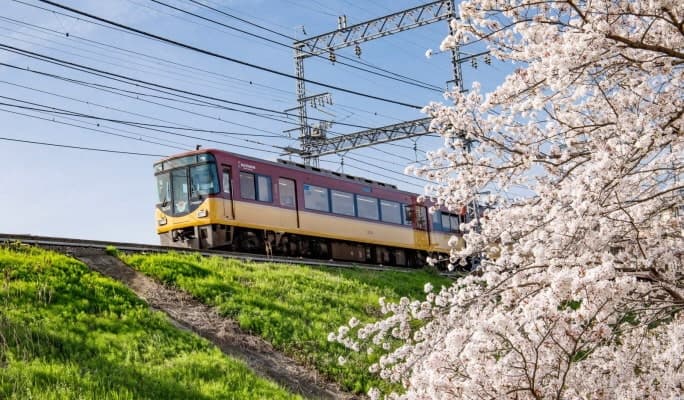 Kyoto-Osaka Sightseeing Pass (1 Day) - main view