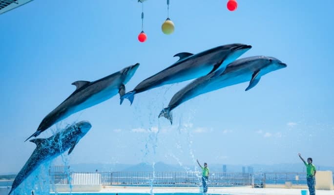 Fukuoka Marine World Uminonakamichi Ticket - main view