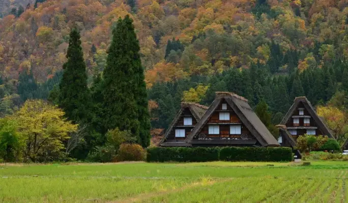 Shirakawa-go Bus Ticket from/to Takayama Nohi Bus Center (Non-reserved Seat) - main view