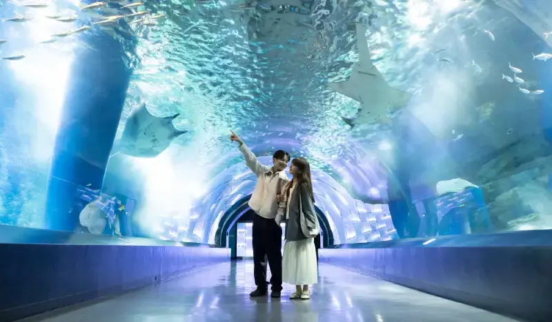 Tokyo Maxell Aqua Park Shinagawa Admission Ticket - main view