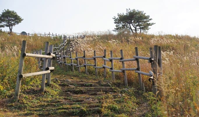 Mindungsan Mountain Silver Grass Festival 1 Day Hiking Tour by Train - from Seoul (Sep 21~Nov 9) - main view