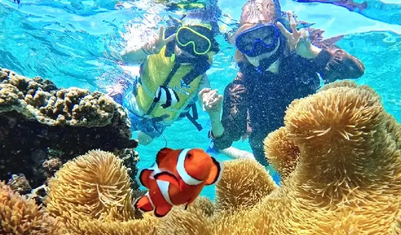 Miyakojima Island: Tropical Snorkeling Tour - main view