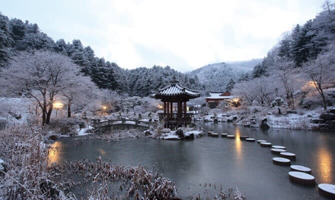 Garden of Morning Calm Lighting Festival Shuttle Bus Ticket - main view