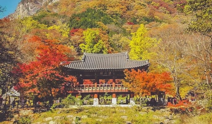 内蔵山国立公園 秋・紅葉 1日ツアー:ソウル/釜山発 - main view