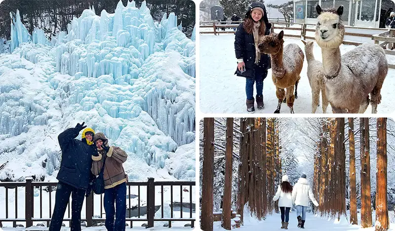 南怡島 + Eobi冰谷 (+ 晨靜樹木園+鐵路自行車/小法國村/羊駝世界) 1日遊 - main view