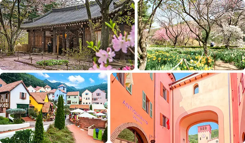 Nami Island (+ Garden of Morning Calm or Petite France & Italian Village) Tour - main view